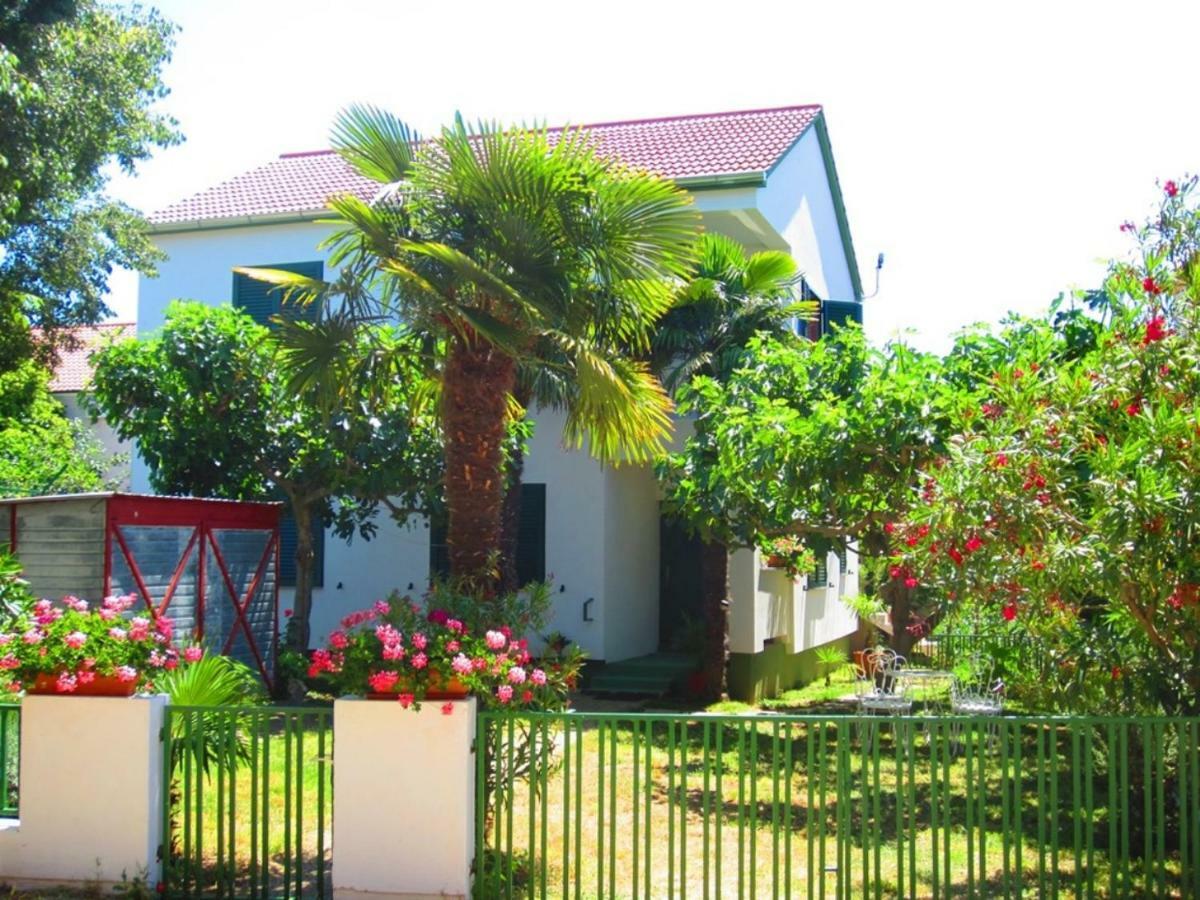 Apartments Fjaka Sveti Filip i Jakov Zewnętrze zdjęcie
